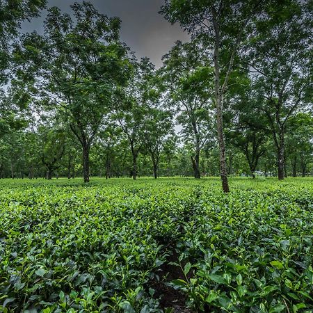 Tusker Tea County Hotel Chālsa Kültér fotó