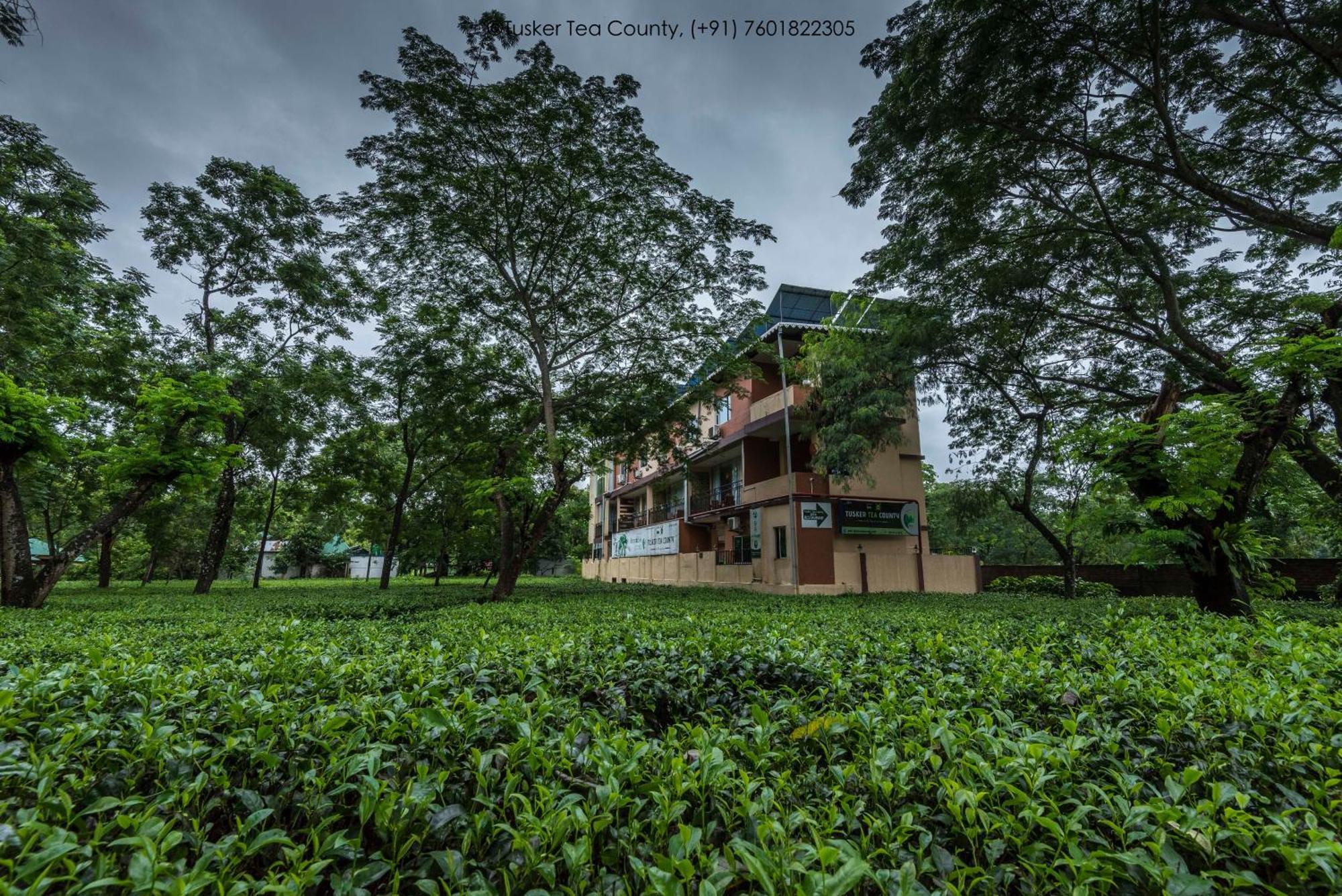 Tusker Tea County Hotel Chālsa Kültér fotó