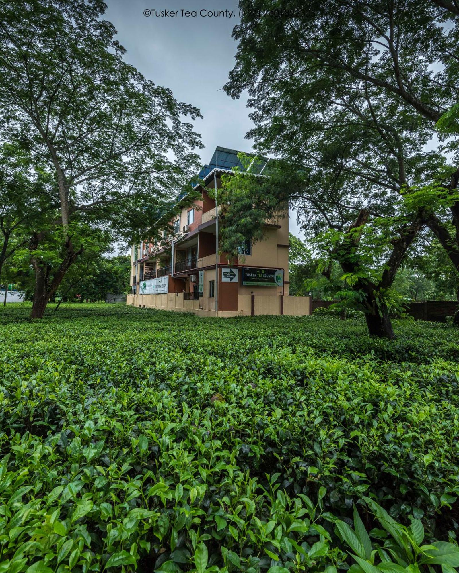 Tusker Tea County Hotel Chālsa Kültér fotó